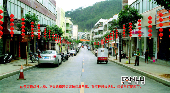 西林沙糖桔節(jié)004.jpg